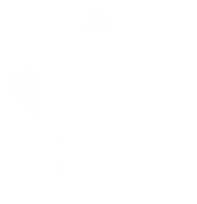 toppng.com-dropship-icon-white-star-star-icon-white-365x379